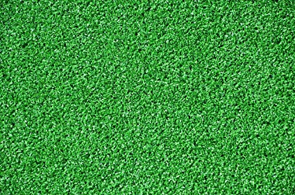 Dean Premium Heavy Duty Indoor/Outdoor Green Artificial Grass Turf Carpet Rug/Putting Green/Dog Mat, Size: 6' x 8' with Bound Edges